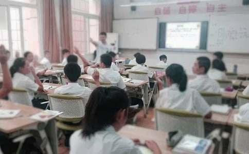 关于小学第一学期教学计划范文8篇