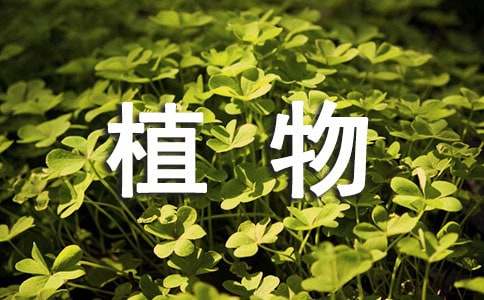 《植物妈妈有办法》教学反思