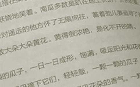 关于语文教学总结模板集锦七篇