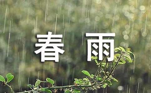 中班语言活动《春雨的吉他》