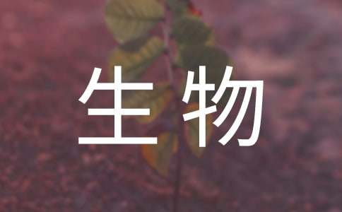 【推荐】八年级上学期生物教学计划3篇