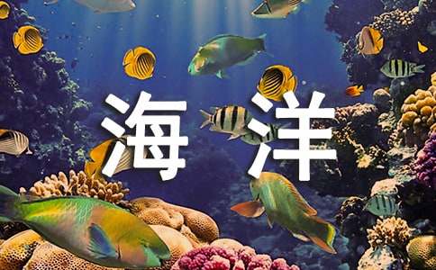 海洋21世纪的希望课件