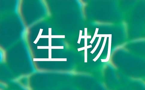 初二生物教学计划集合9篇