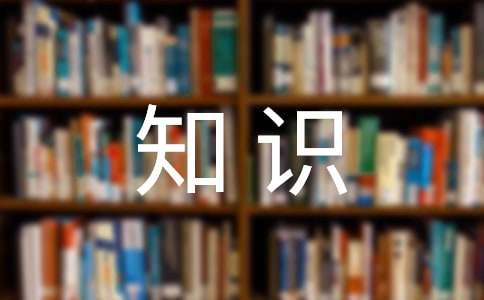 礼仪知识策划书范文