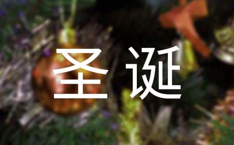 圣诞活动策划书范文（通用6篇）