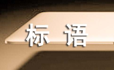 食品安全综合实践活动宣传标语