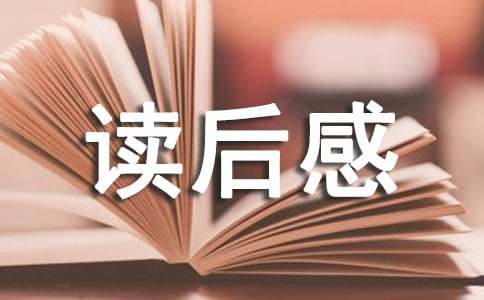 张晓风的散文读后感500字