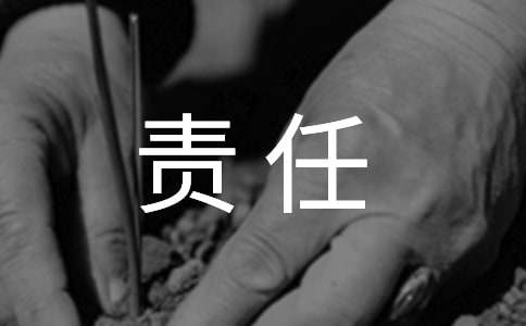 《责任胜于能力》读后感_1500字