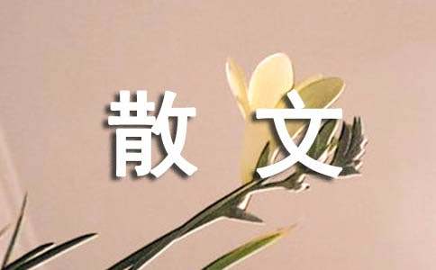 春酒散文读后有感