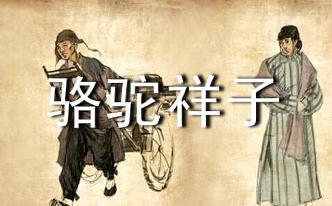 高中生骆驼祥子读后感1000字（通用20篇）