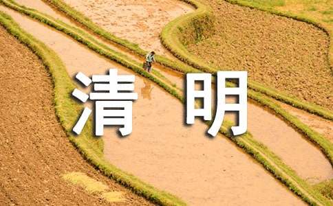 清明节主题综合实践活动方案范文（精选19篇）