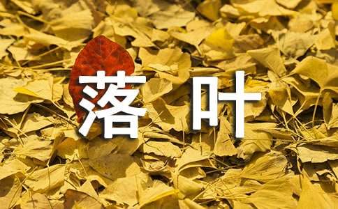 落叶归根情发言稿范文