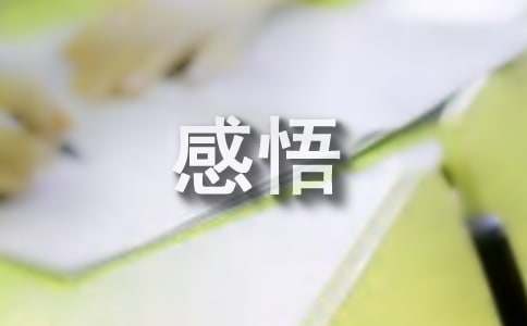 经典的心灵感悟(集锦15篇)