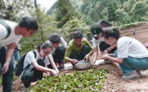 大学三下乡社会实践报告范文3篇