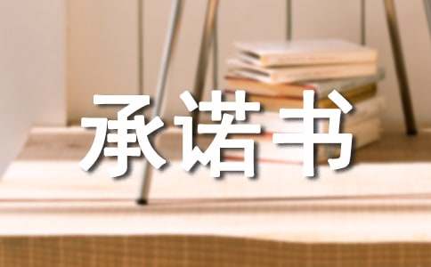 行风建设公开承诺书集合15篇