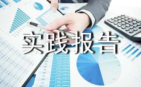 【精选】暑期实践报告汇总8篇