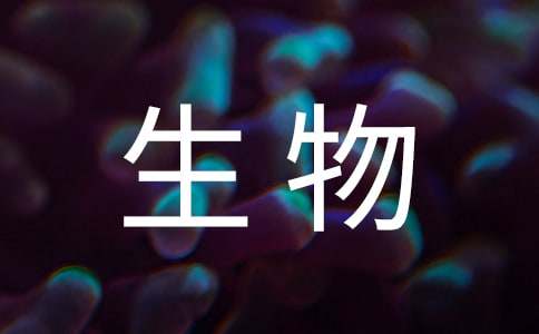 生物课代表述职报告